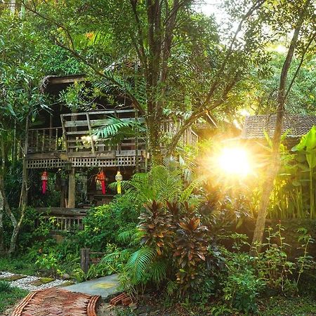 Tongluang Inthanon Homestay โต้งหลวงอินทนนท์โฮมสเตย์ Chom Thong Ngoại thất bức ảnh