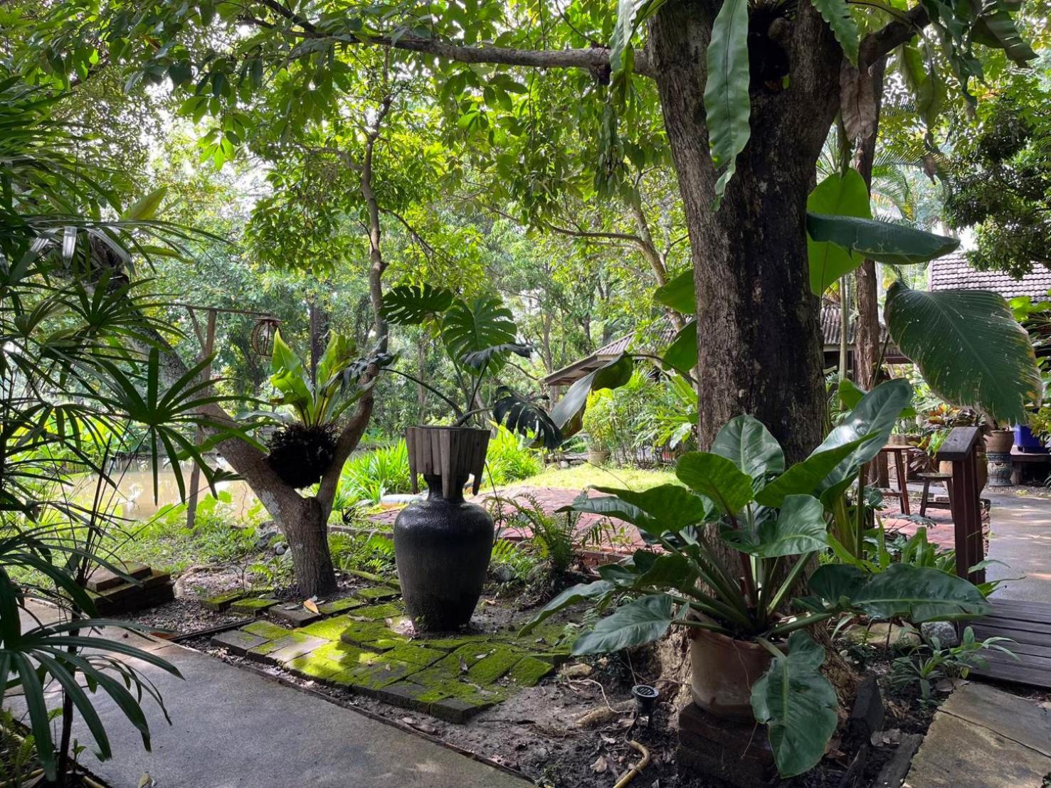 Tongluang Inthanon Homestay โต้งหลวงอินทนนท์โฮมสเตย์ Chom Thong Ngoại thất bức ảnh